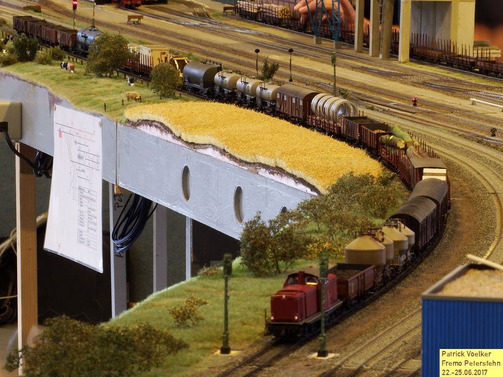 2017petersfehn117.JPG