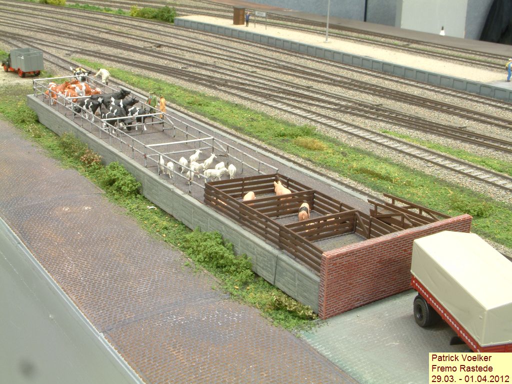 11rastede207.jpg